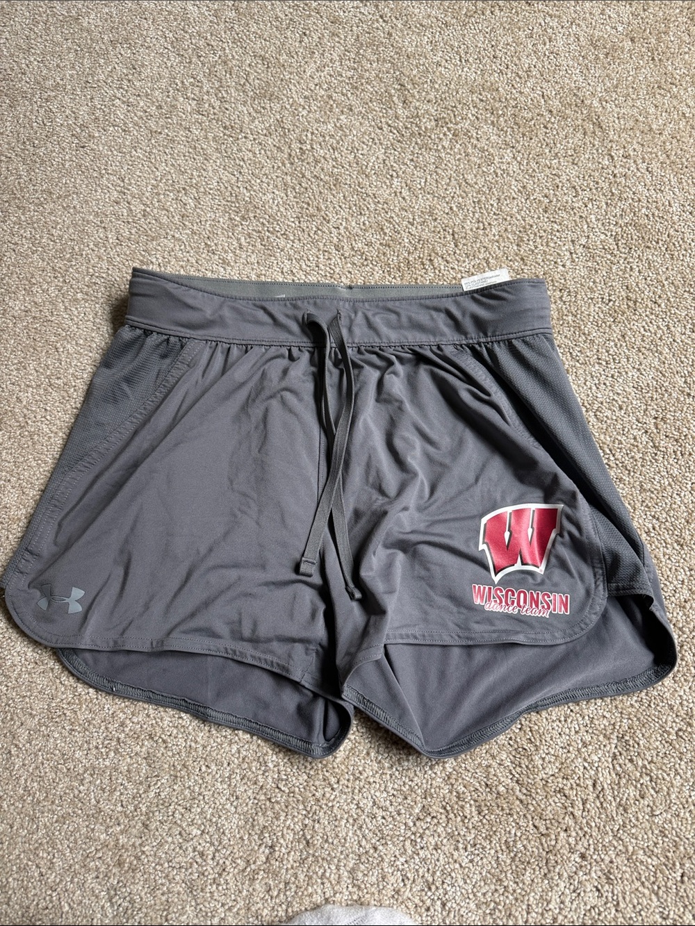 Under Armour Gray University of Wisconsin Dance Team Shorts